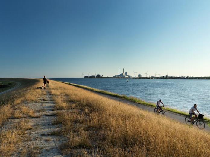 Kysten ved Amager