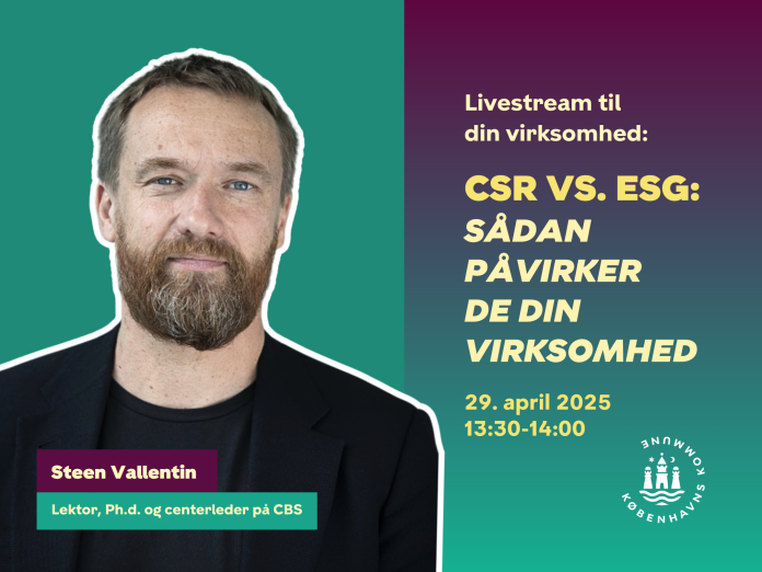 Steen Vallentin, lektor, Ph.d. og centerleder på CBS