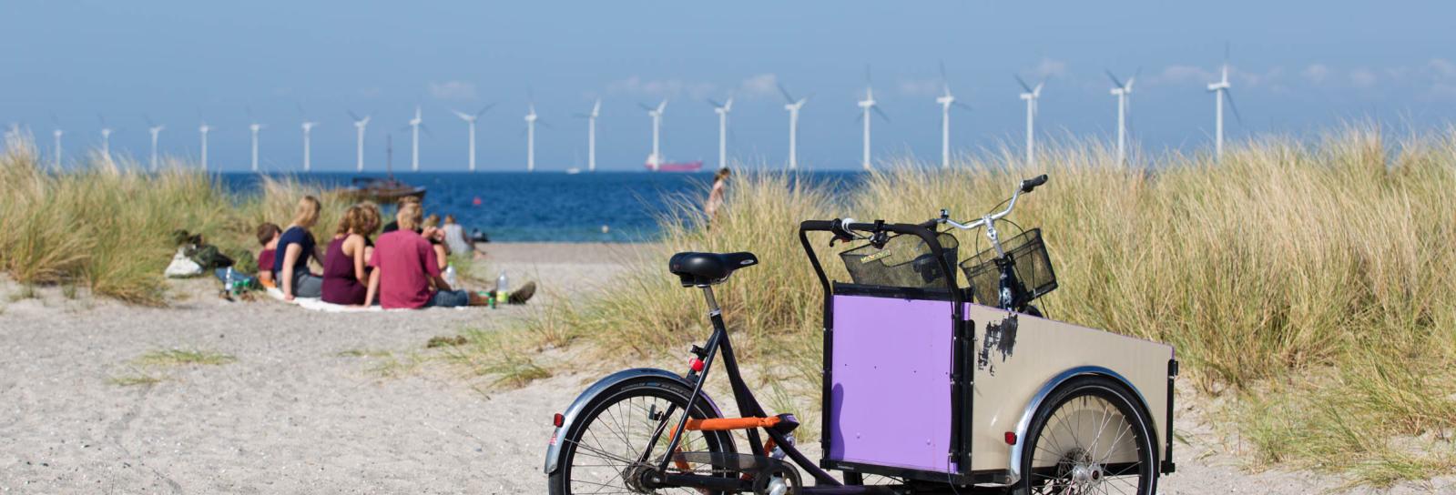 Bliv sammenfiltret med undtagelse af miljøforkæmper Amager Strandpark | Københavns Kommunes hjemmeside