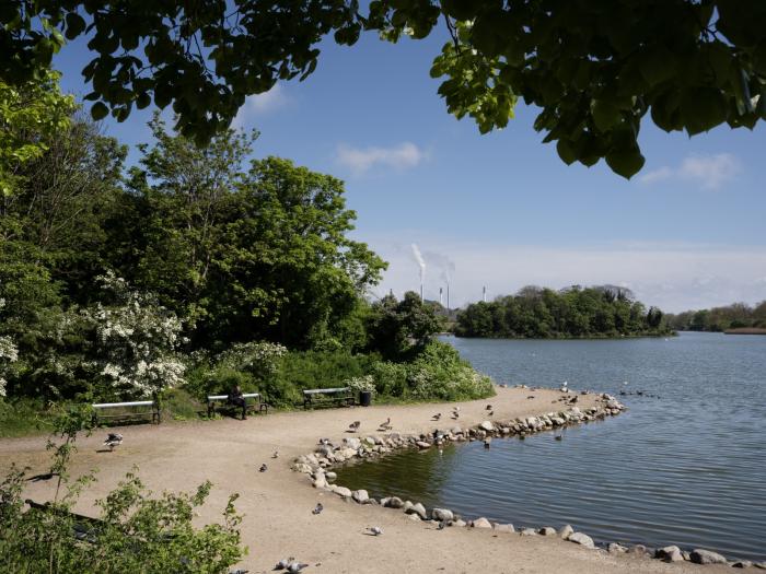 Grussti langs med voldgraven med bænke og fugle