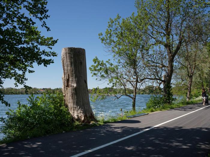 Damhussøen med træstamme, gang-og cykelsti med person med en barnevogn