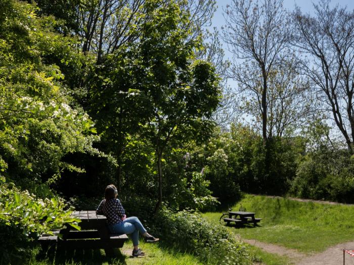 En kvinde nyder den grønne natur på en bænk oppe på Christianhavns  Vold