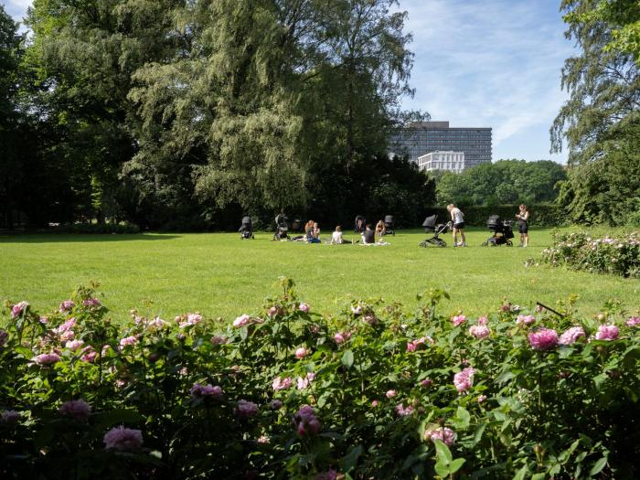 En gruppe mødre med barnevogne hygger sig på græsplænen med Rigshospitalet i baggrunden.