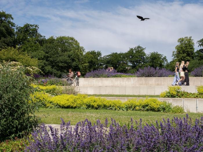 Fælledparkens blomsterhave med terrasser, hvor man kan sidde