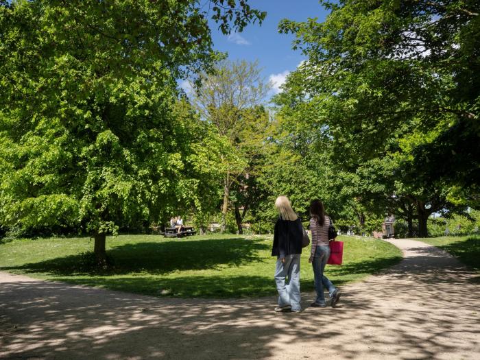 To unge går tur på en sti i træernes skygge