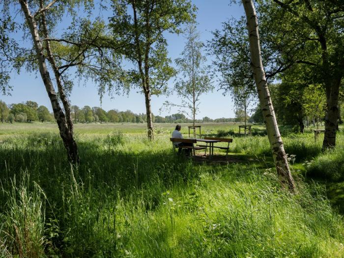 En mand sidder ved at borde-bænke-set og kigger ud over sletten.