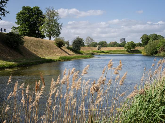 Løbere på kastellet og halmstrå i forgrunden