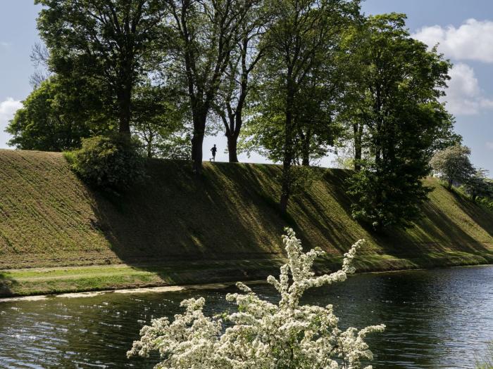 Vilde blomster ved voldgraven på Kastellet
