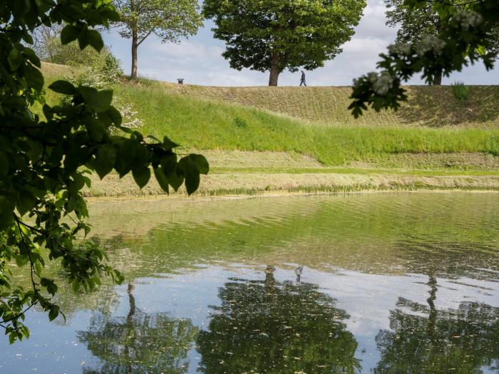 Træer der spejler sig i vandet ved Kastellet